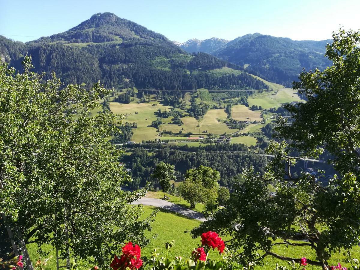 Biobergbauernhof Bergzeit Apartment in Goldegg im Pongau Exterior foto