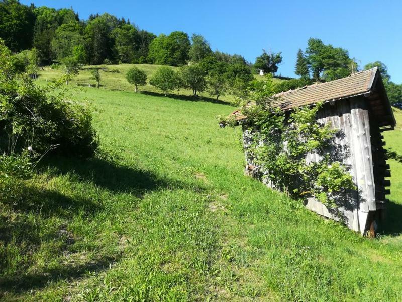 Biobergbauernhof Bergzeit Apartment in Goldegg im Pongau Exterior foto